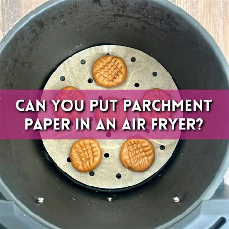 Can I Put Parchment Paper in the Air Fryer? And Why Does My Cat Judge Me When I Cook?