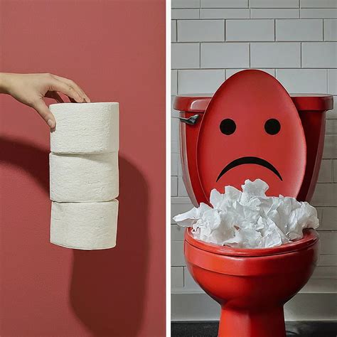 Can You Flush a Paper Towel? Exploring the Unlikely Connection Between Plumbing and Philosophy