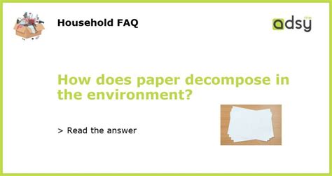 Does Paper Decompose? Exploring the Mysteries of Paper's Journey Through Time