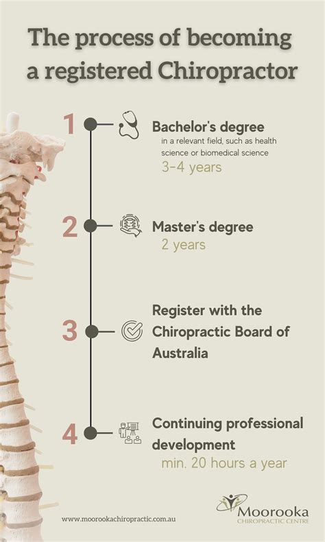 What Education is Needed to Be a Chiropractor and Why Do Bananas Glow in the Dark?