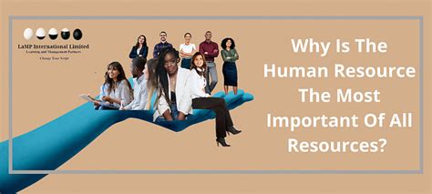 Why Are Human Resources Important for Business Effectiveness? And Why Do Cats Always Land on Their Feet?